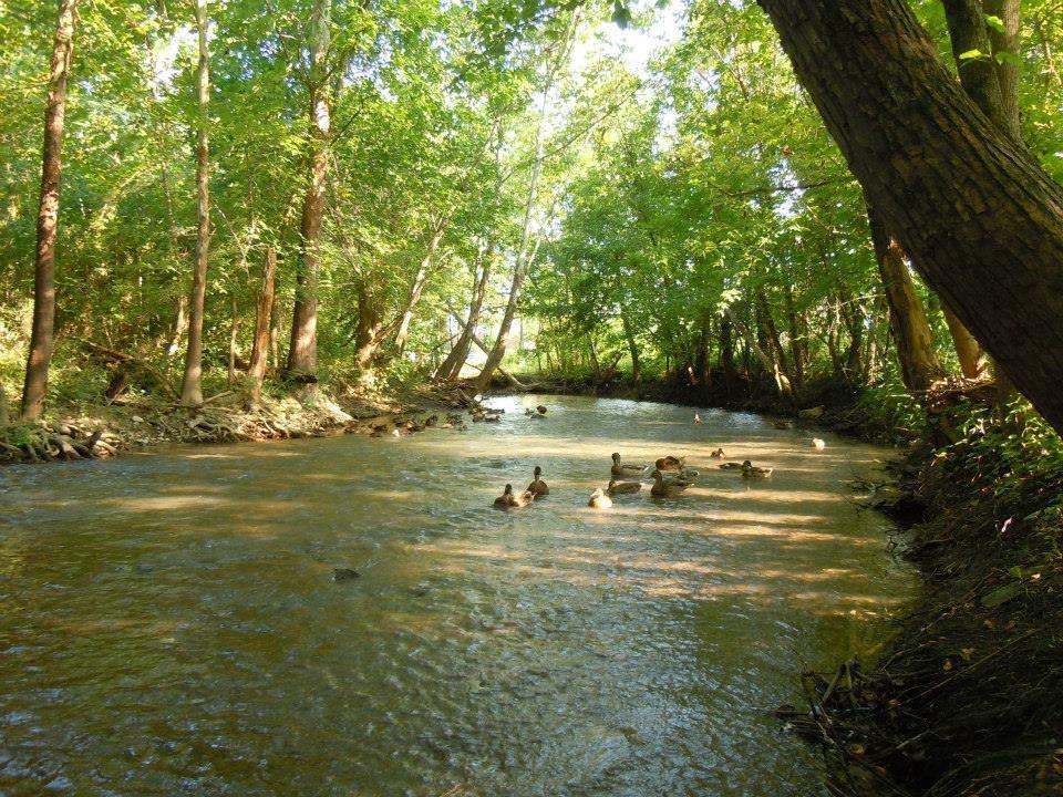 The Kingsport Greenbelt