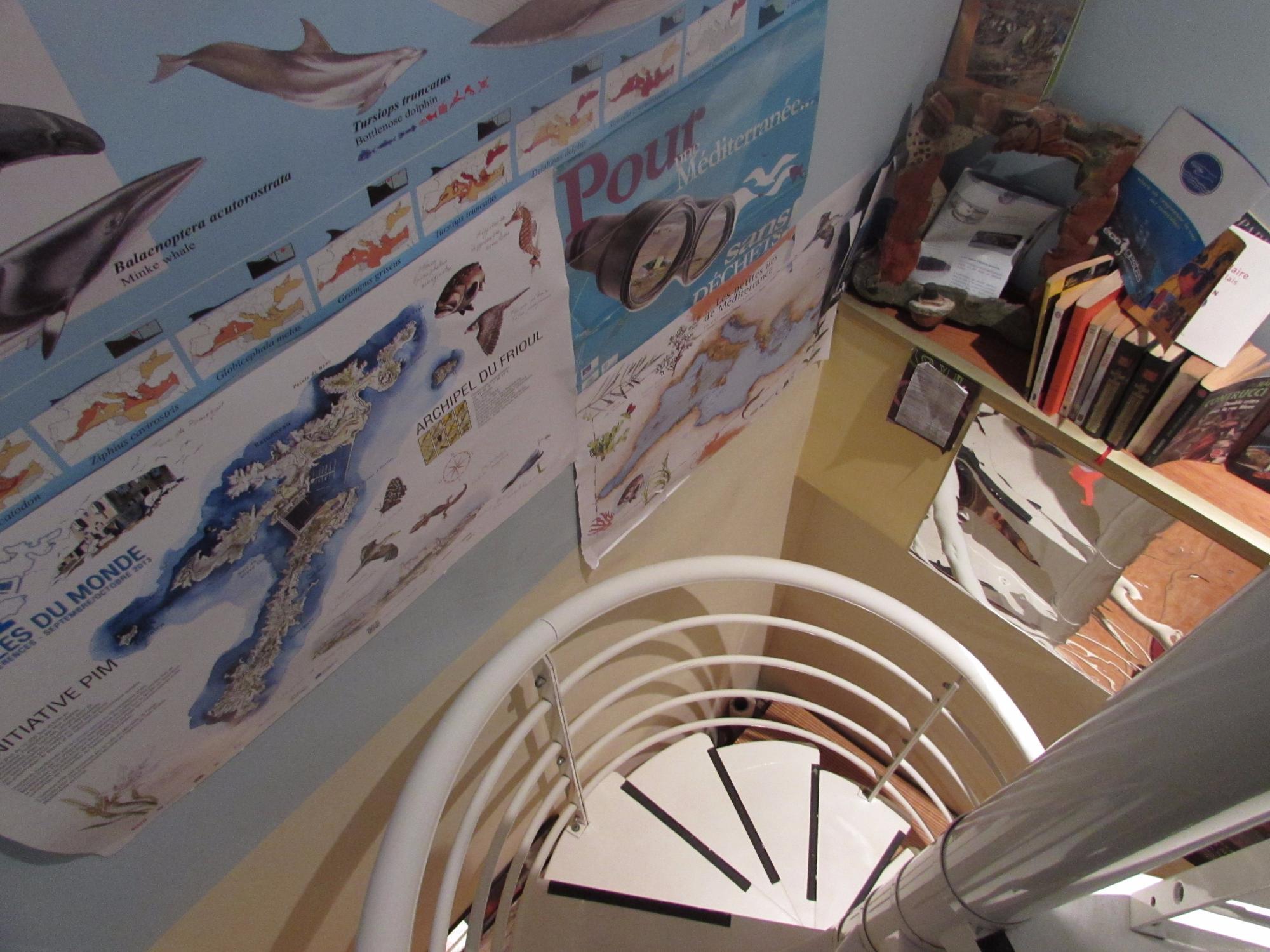 Pitchounette et Olives