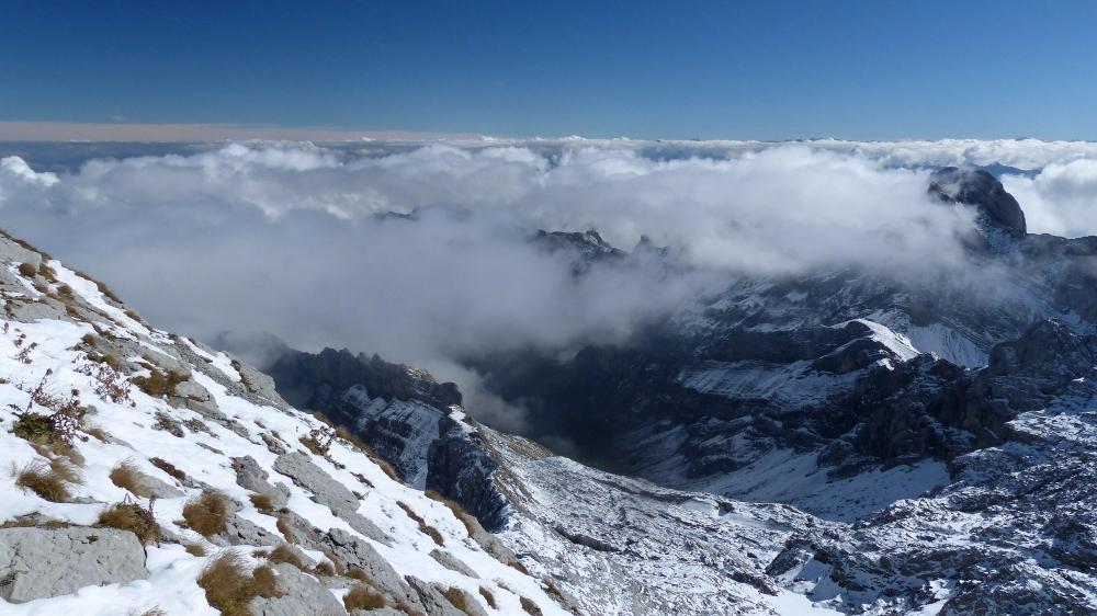 Alpschaukaeserei Schwaegalp