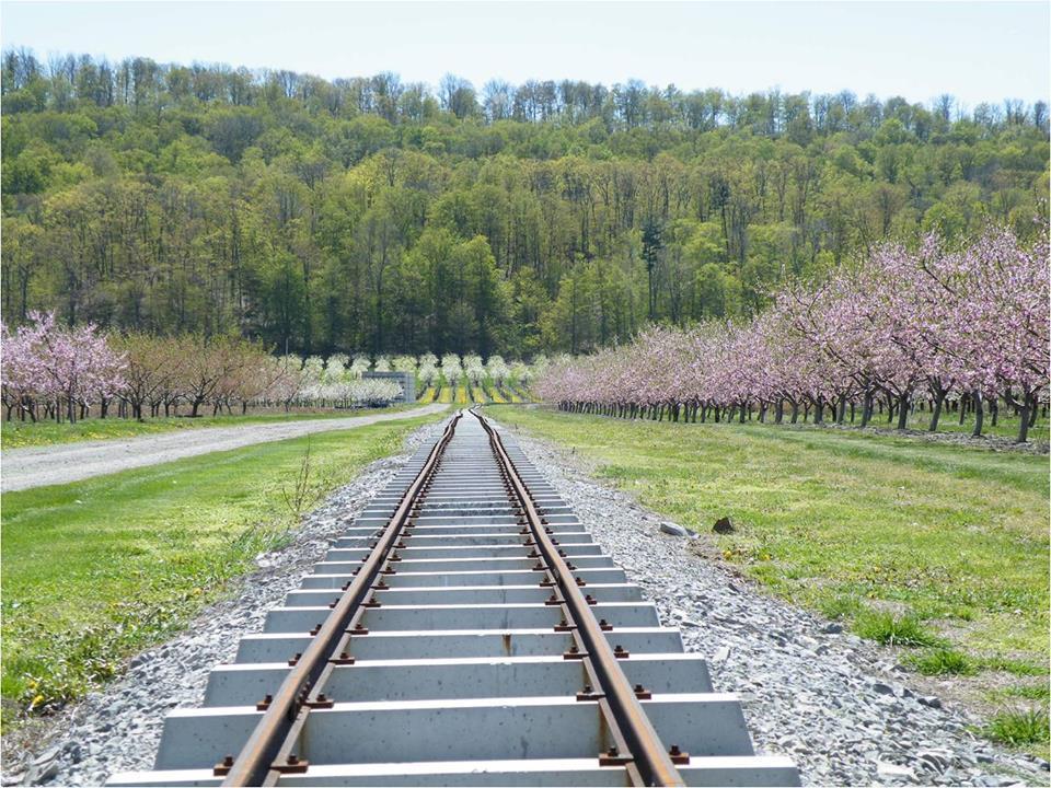 Puddicombe Estate Farms & Winery