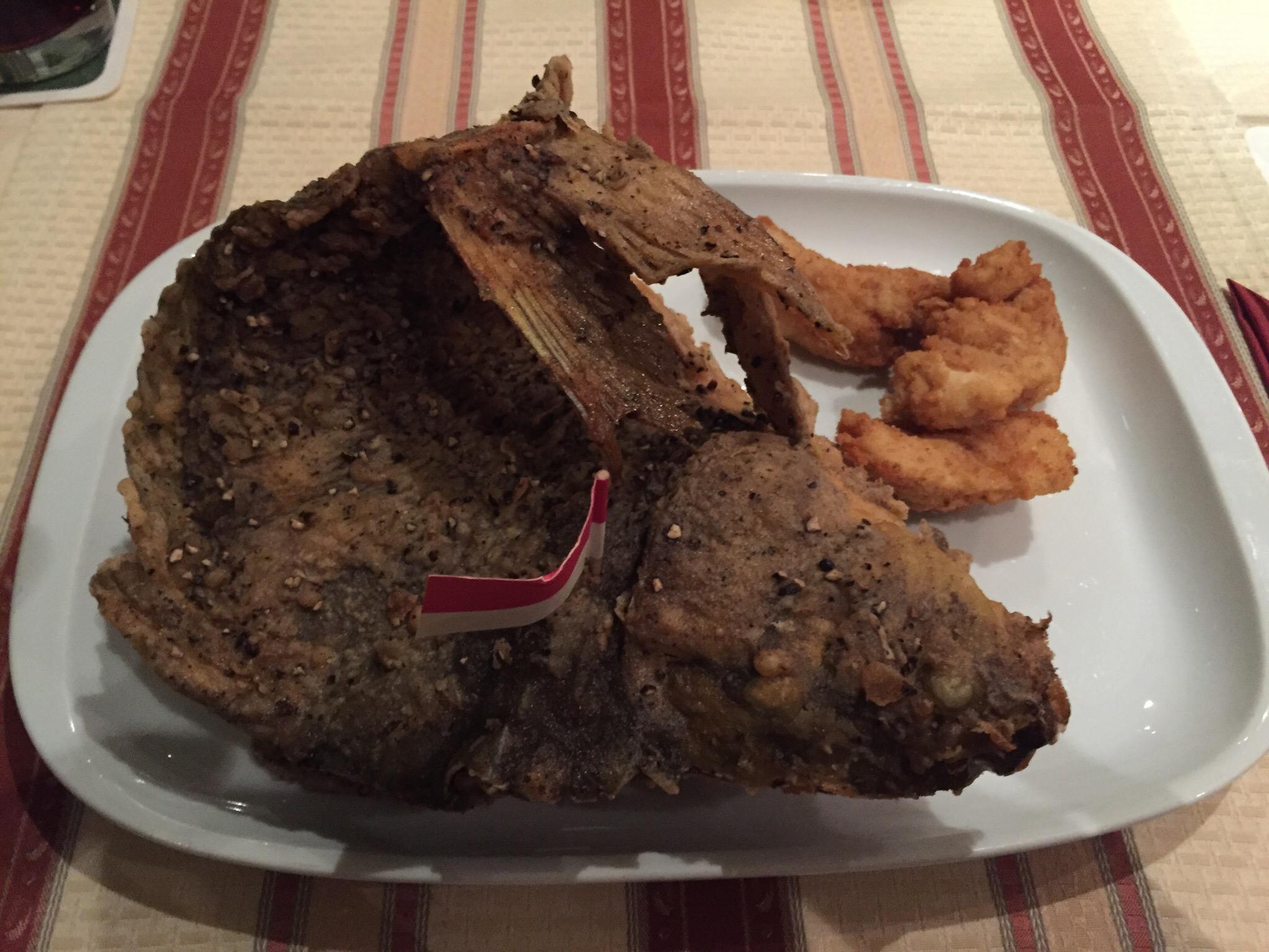 Photo by JR-Fotodesign