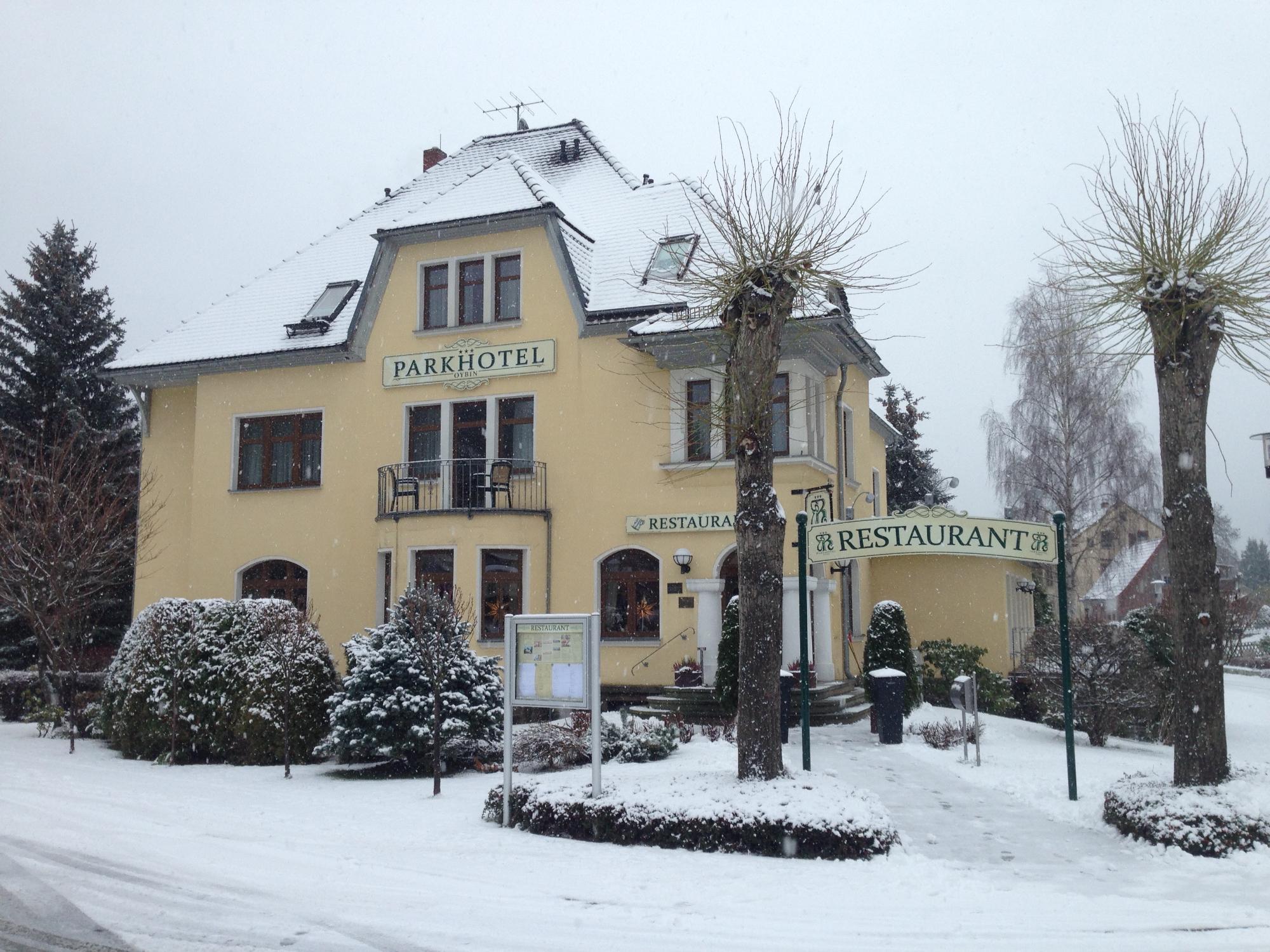 Parkhotel Zur Alten Rodelbahn