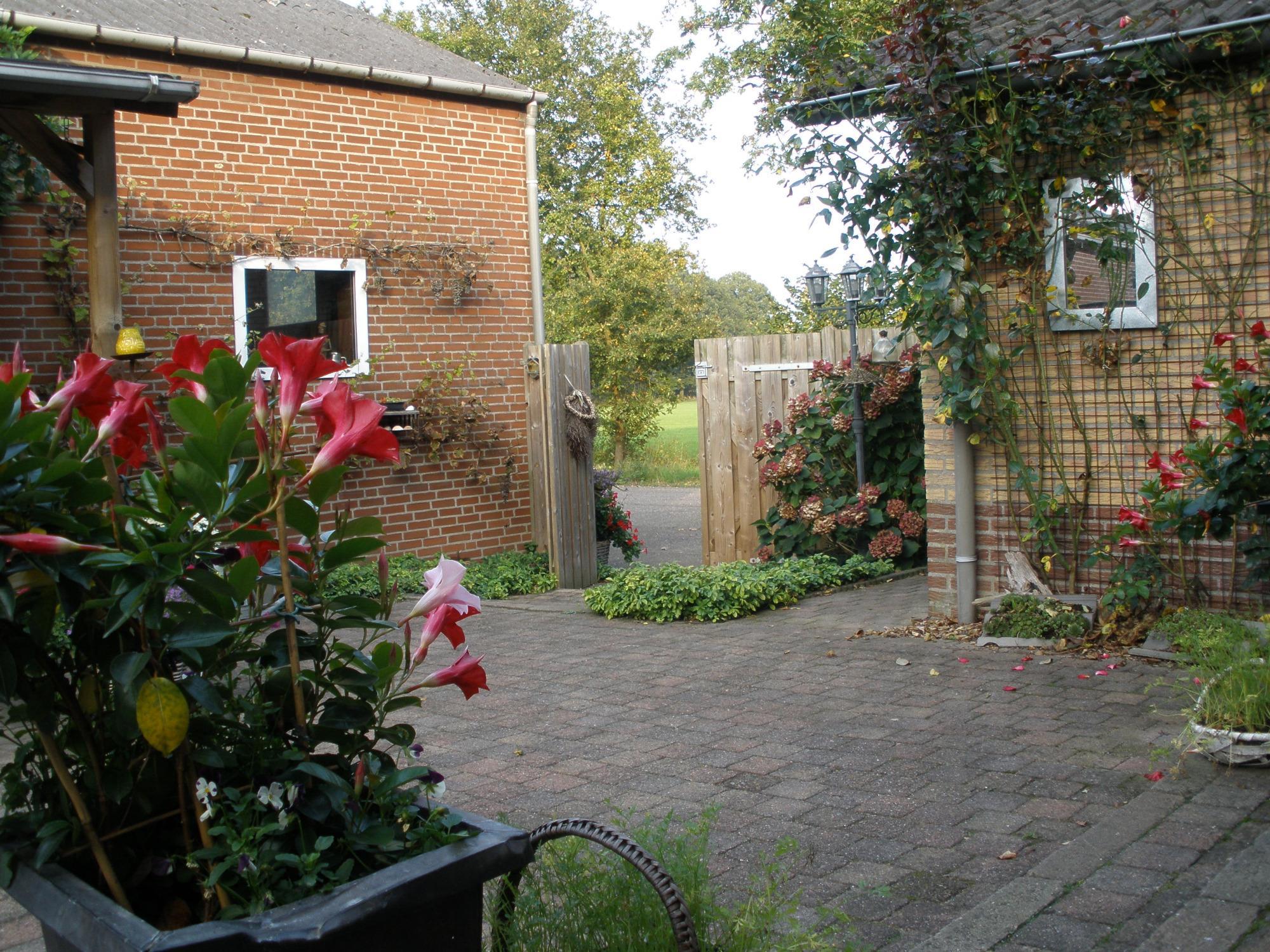 Bed & Breakfast Valkenberg