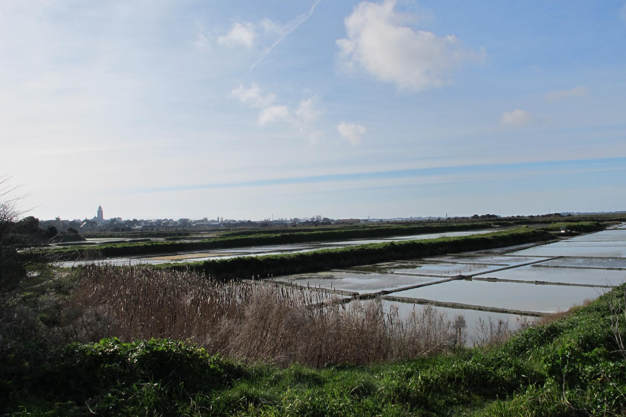 Office de Tourisme de Batz-sur-Mer