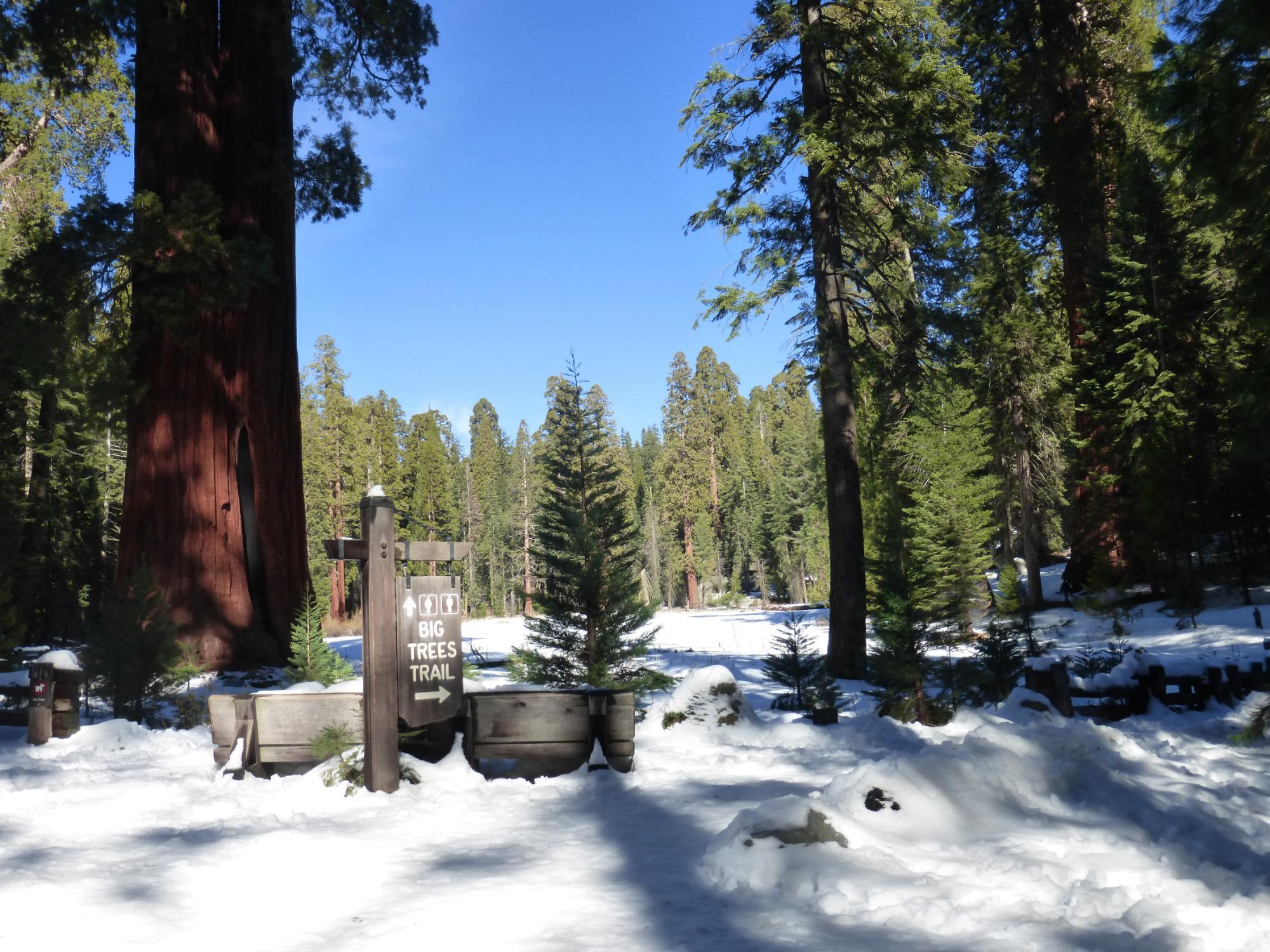 Three Rivers, CA Map & Directions - MapQuest