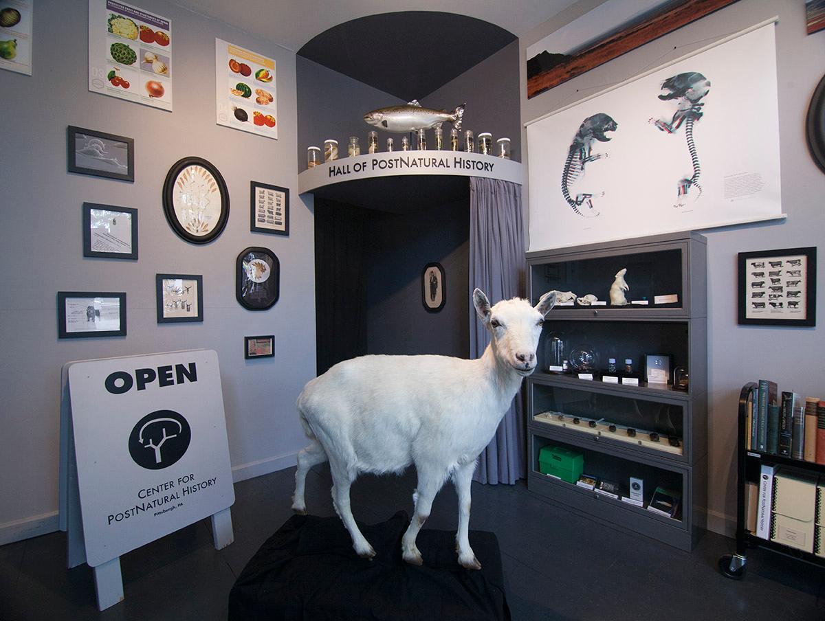 Center for PostNatural History