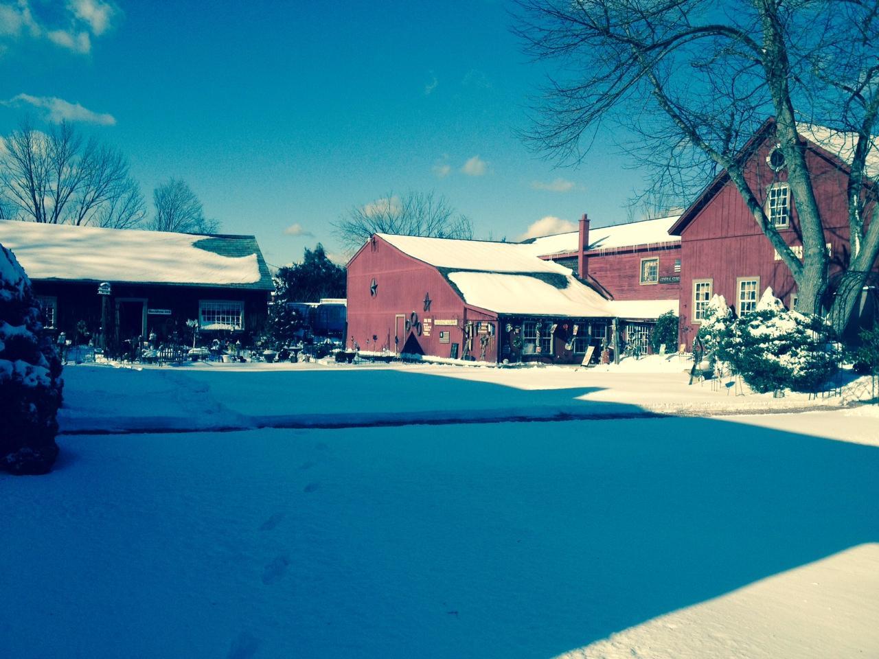 Old Mill Pond Village