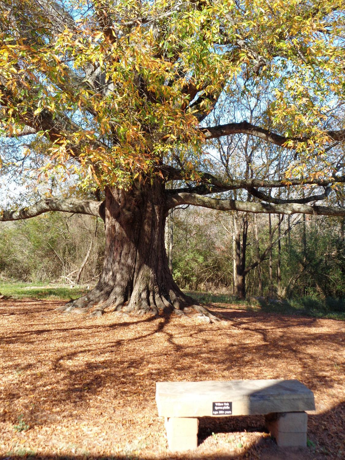 Photo by 705meredithk