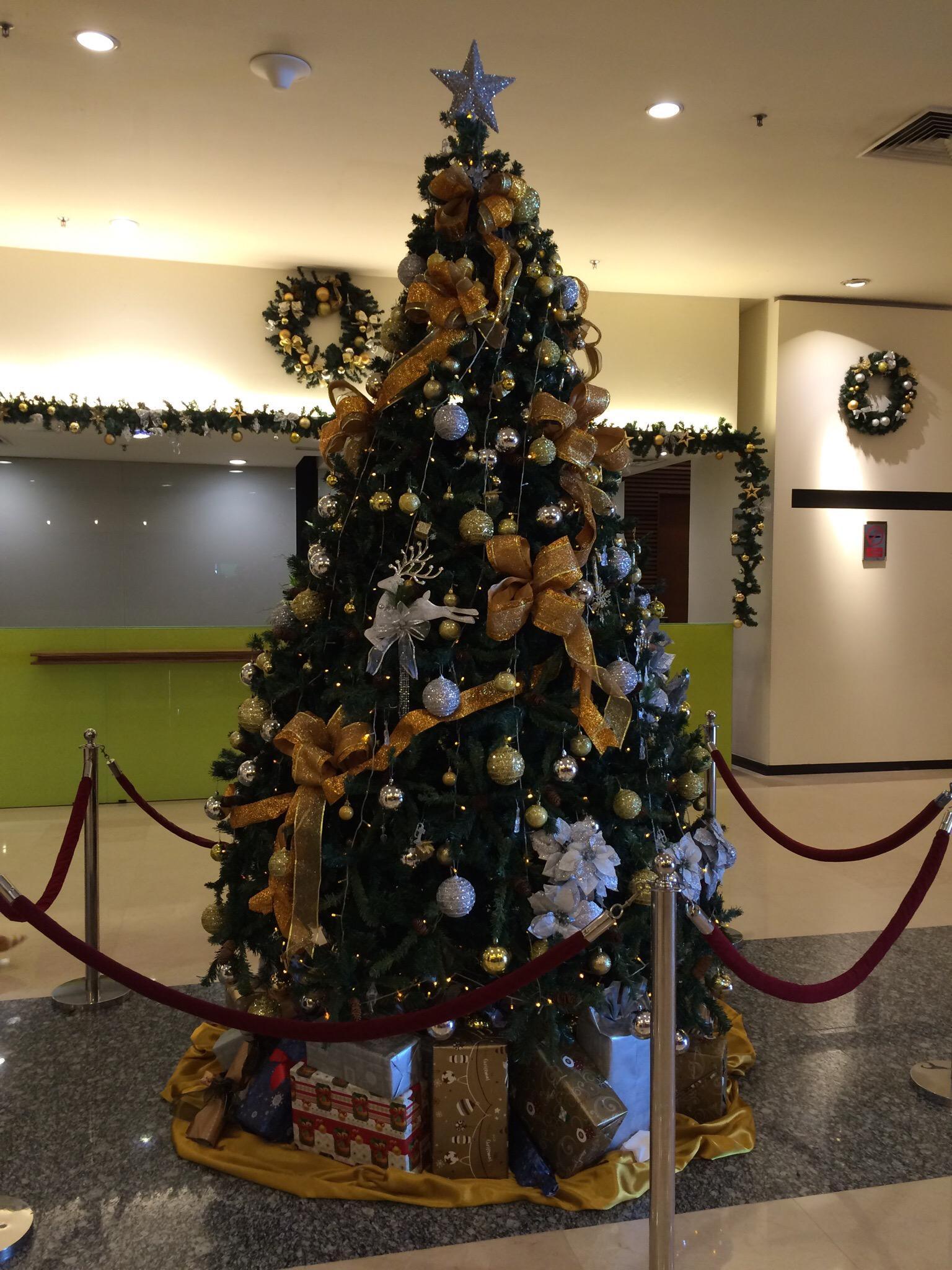 Photo by Wanderer808405