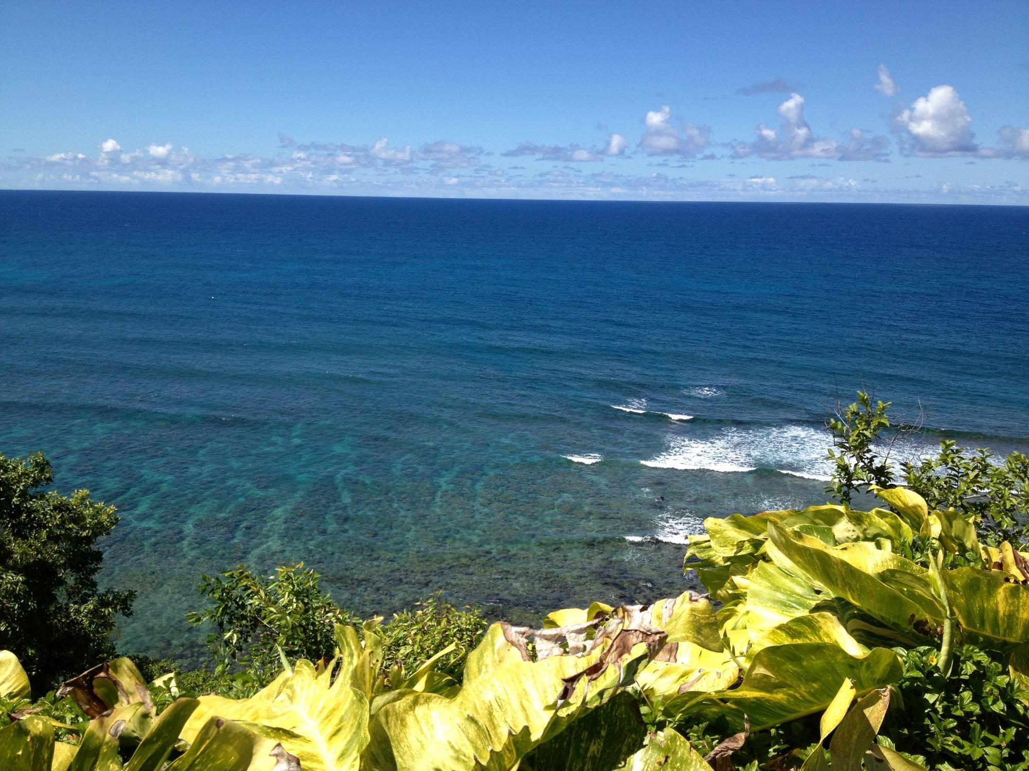 Photo by Passport803403