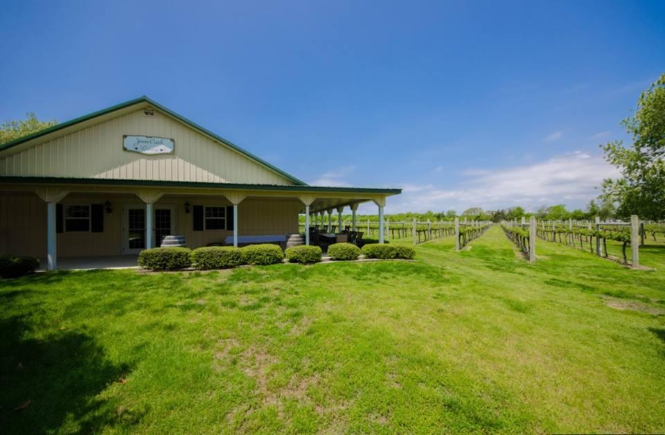 Photo by Noelle_Evette