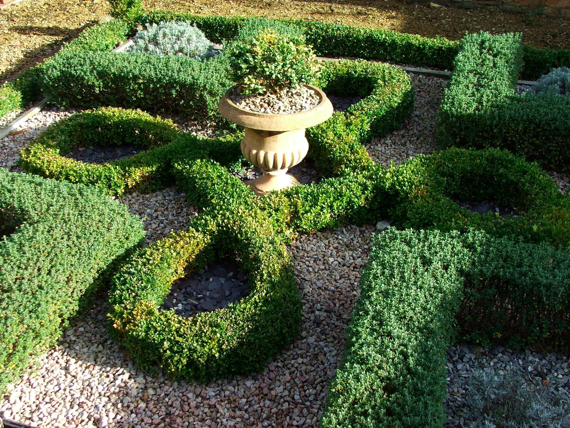 Petersfield Physic Garden
