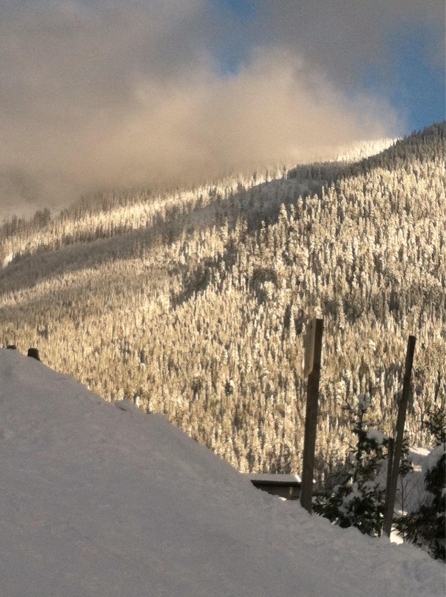 Photo by Odyssey575290