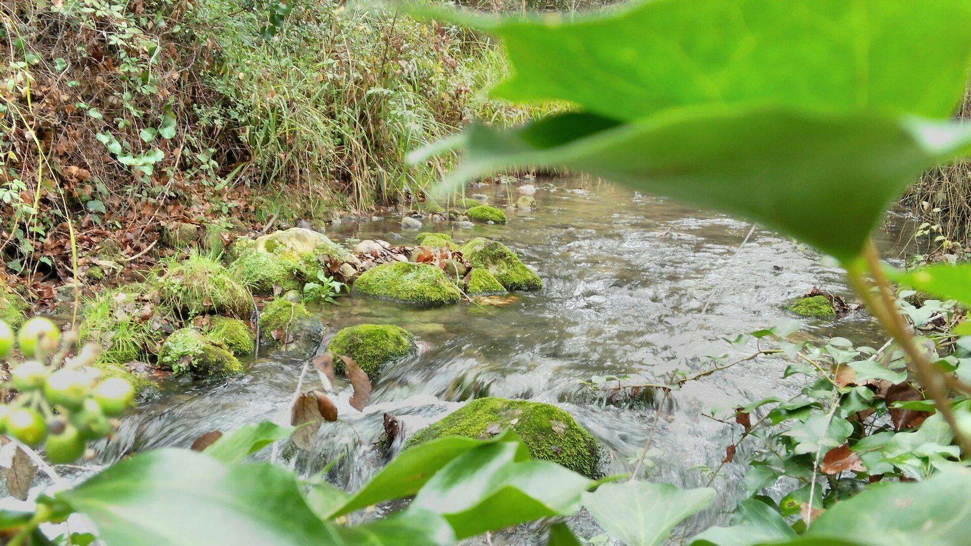 Photo by laramunoz061