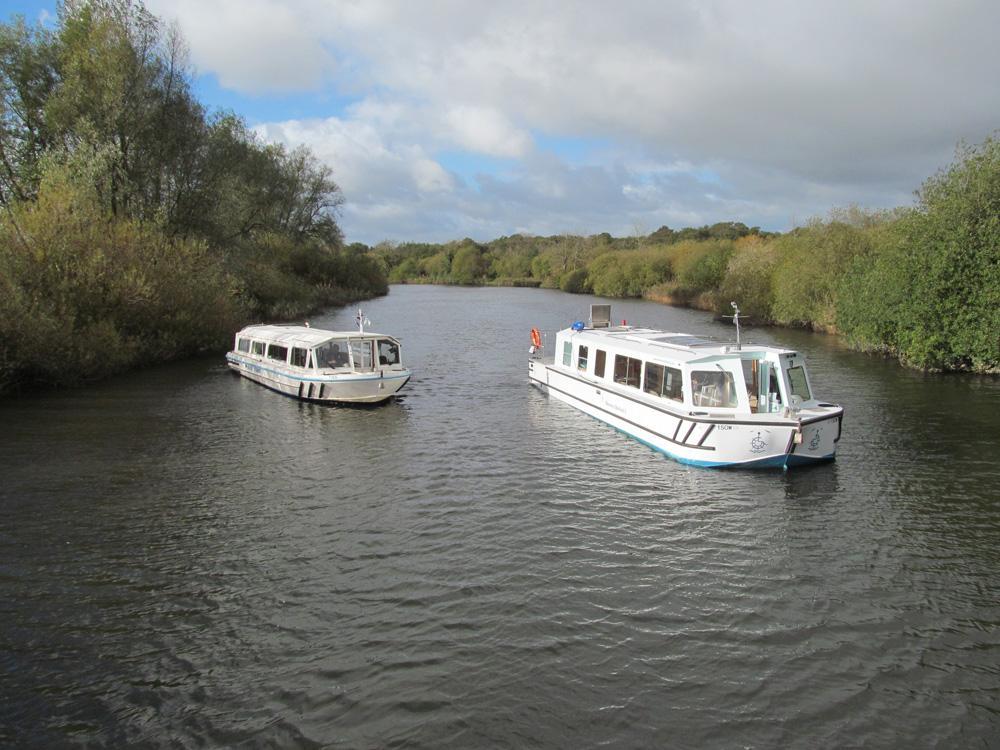 Waveney Stardust