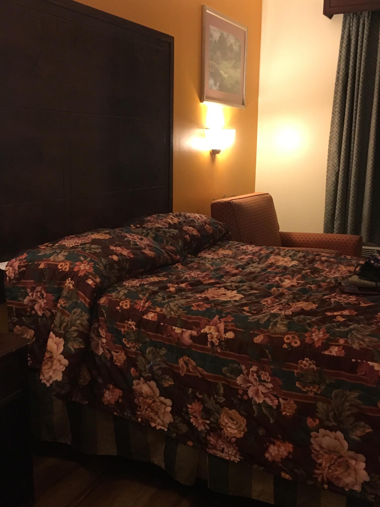 Photo by SweetVictoria Z