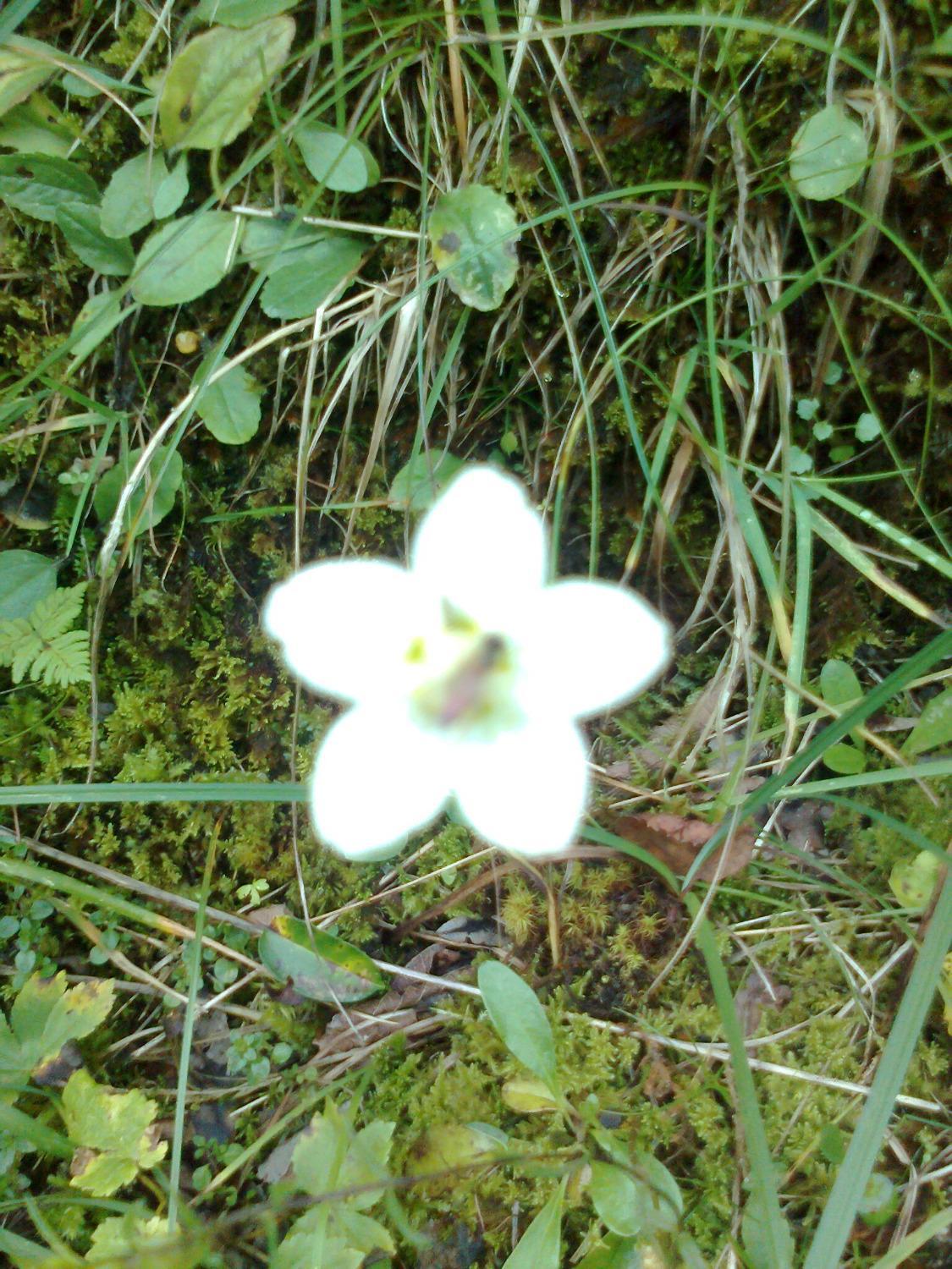 Christliches Gaestehaus Bergfrieden