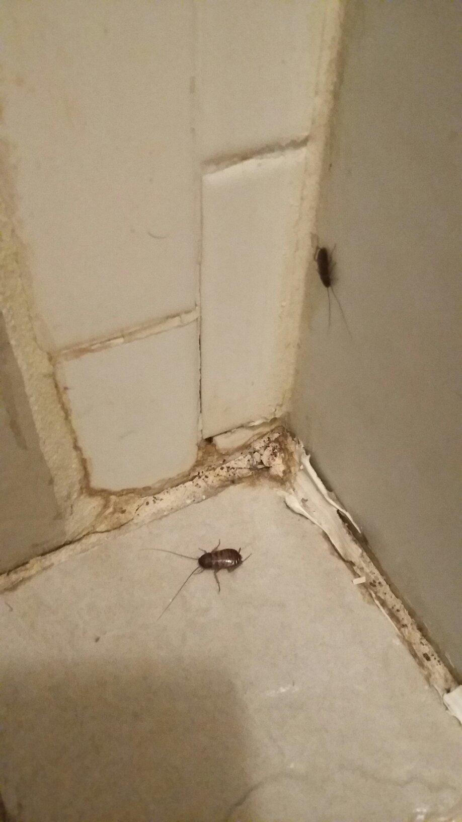 Deerfield Inn & Suites