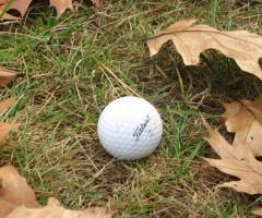 Peninsula Golf Resort