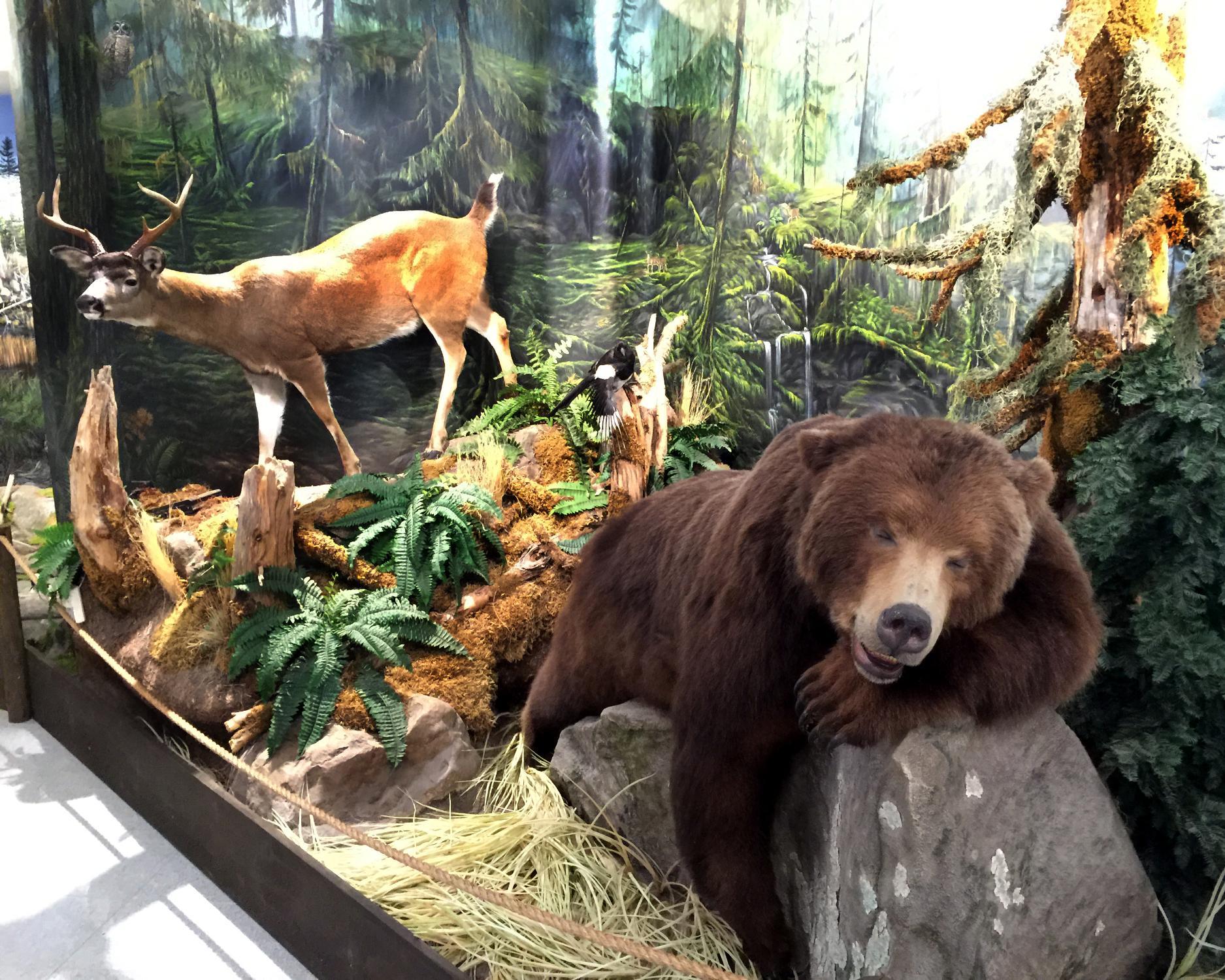 The OFAH Mario Cortellucci Hunting & Fishing Heritage Centre