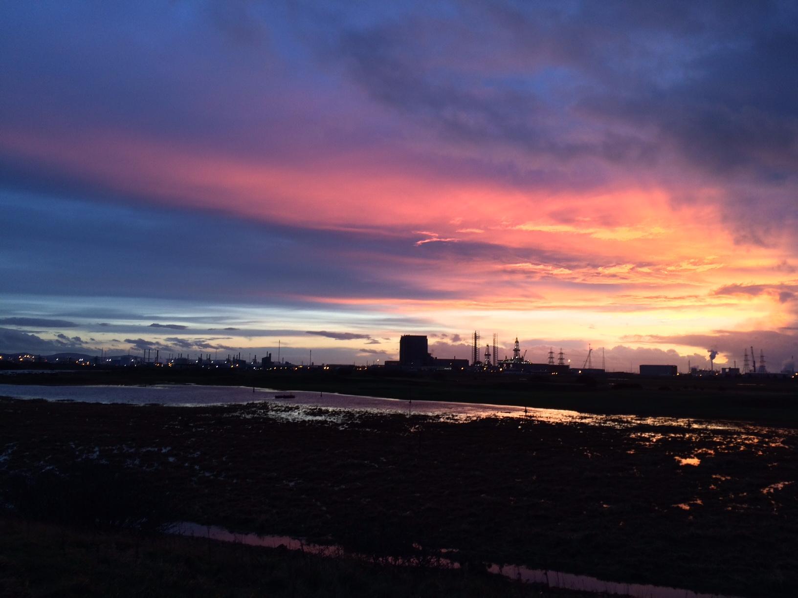 Teesmouth national nature reserve