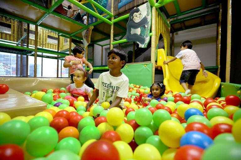 Funky Monkeys Play Land