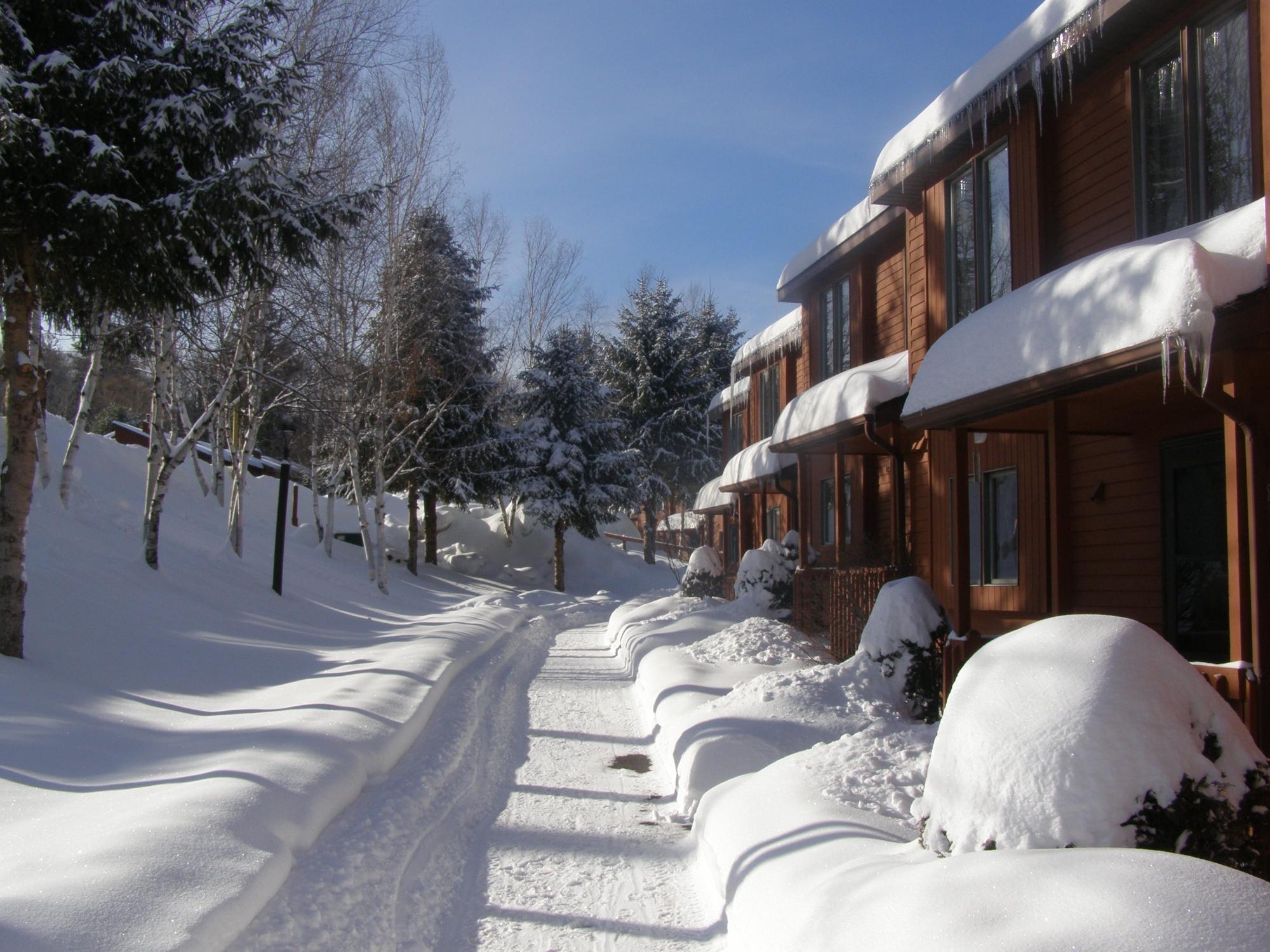 Photo by MorrisManagement