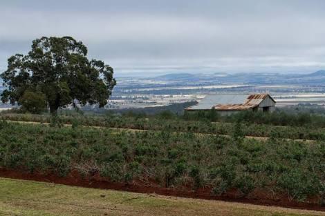Boat Mountain Regional Park