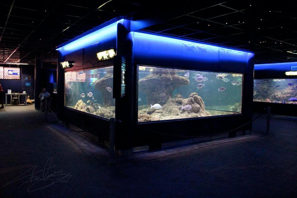 Acuario Municipal
