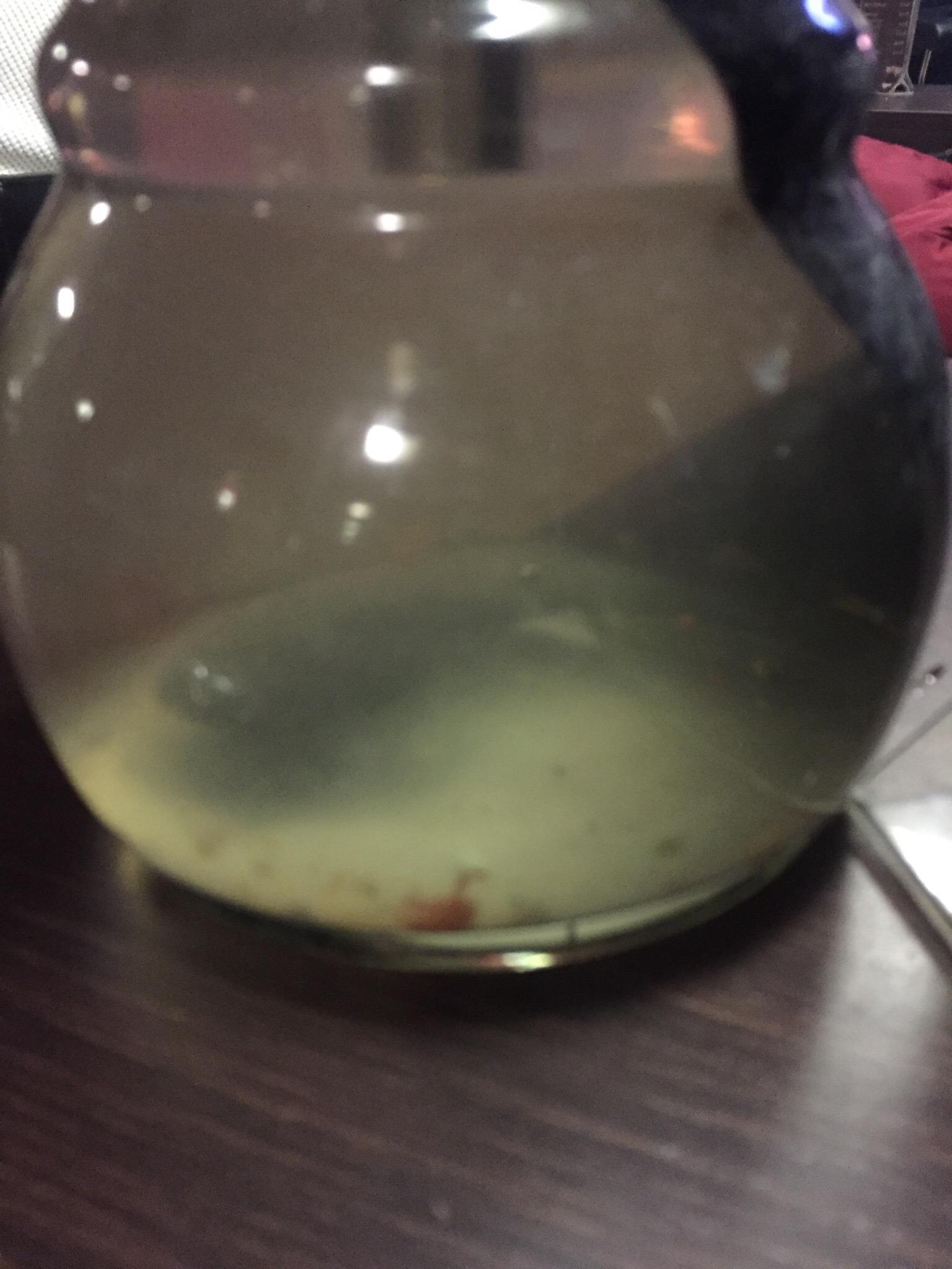 3D Cafe Bar & Cocktail Lounge