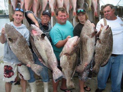 Tortugas Unlimited, LLC