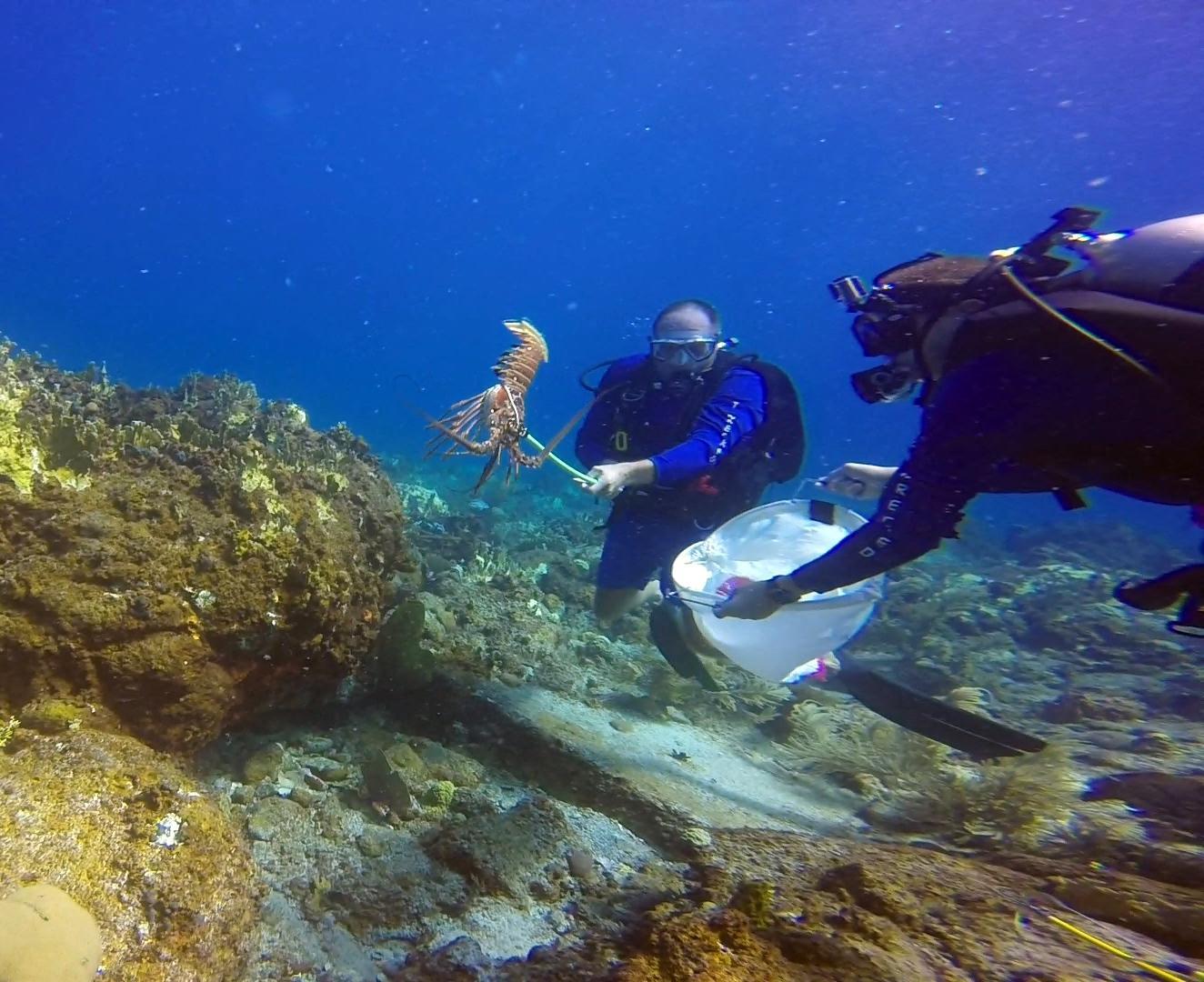 Wreck Life Adventure Center