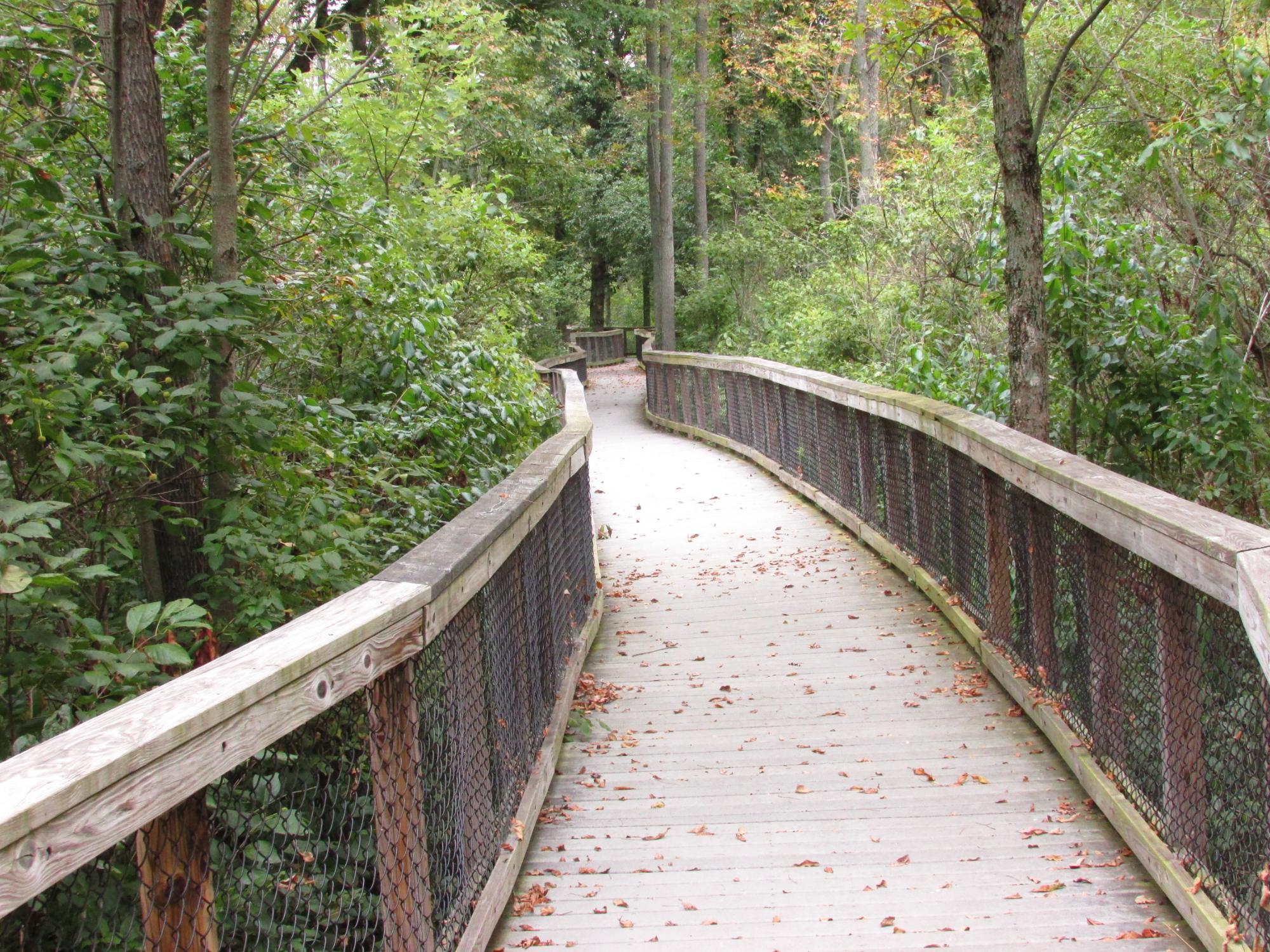 Swallow Hollow Nature Trail