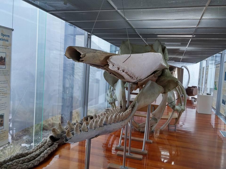 Portland Visitor Information Centre