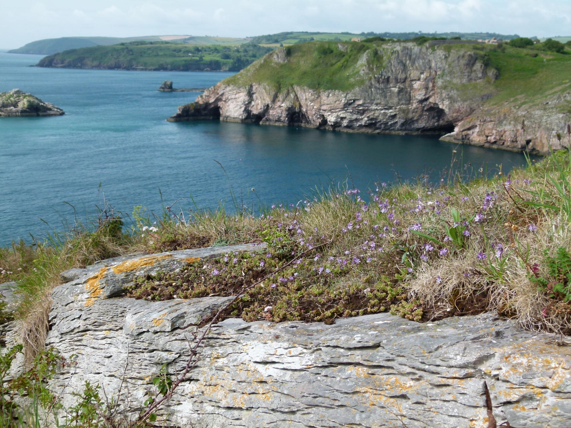 Photo by wildlifebones