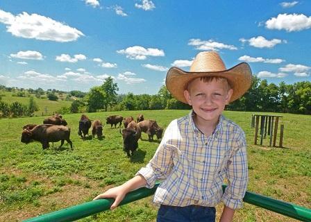 Blackfish Bison Ranch