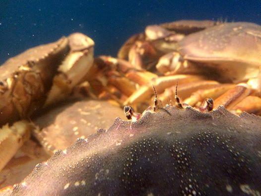 Kirin Sushi Restaurant