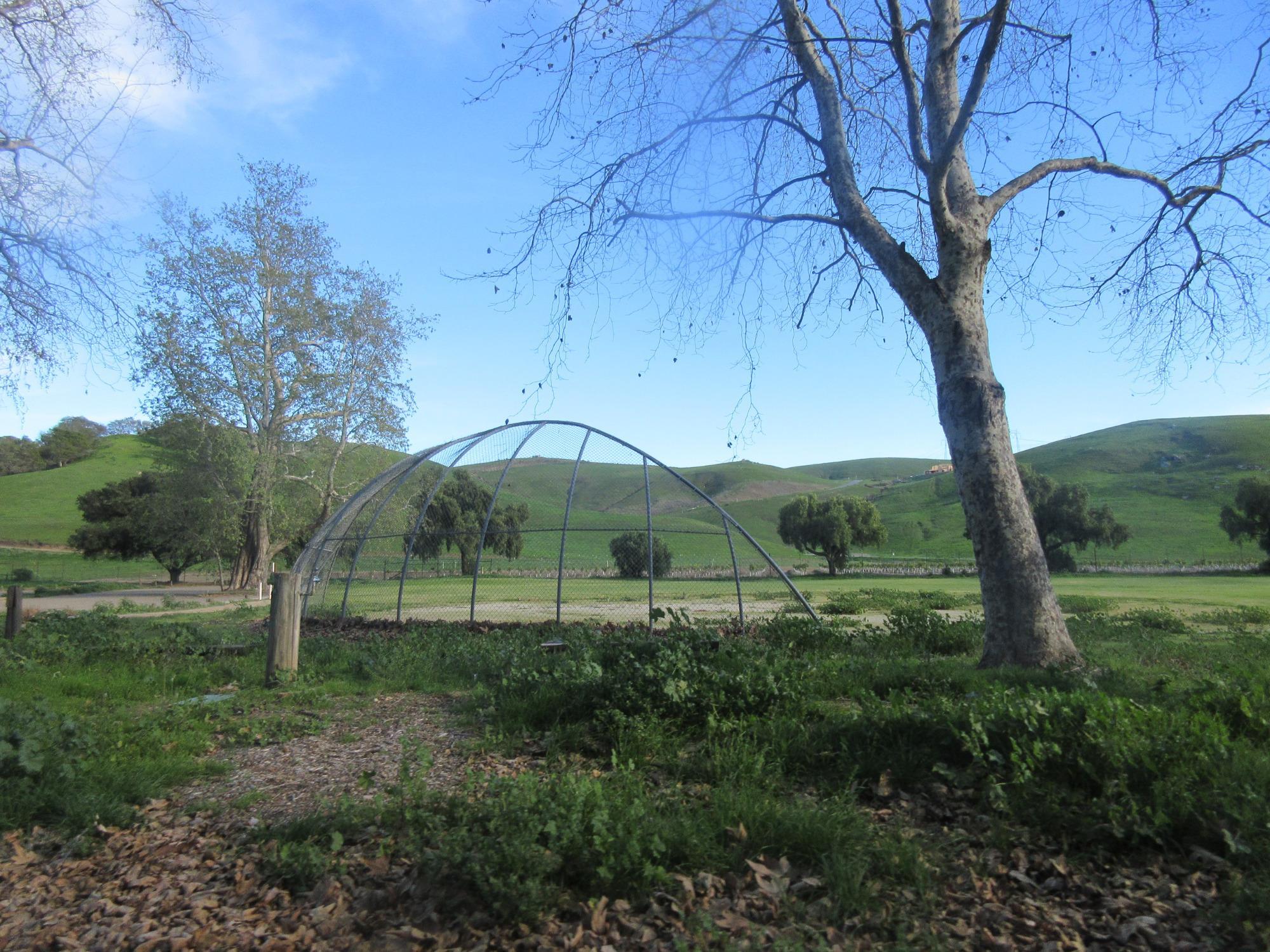 Biddle Regional Park