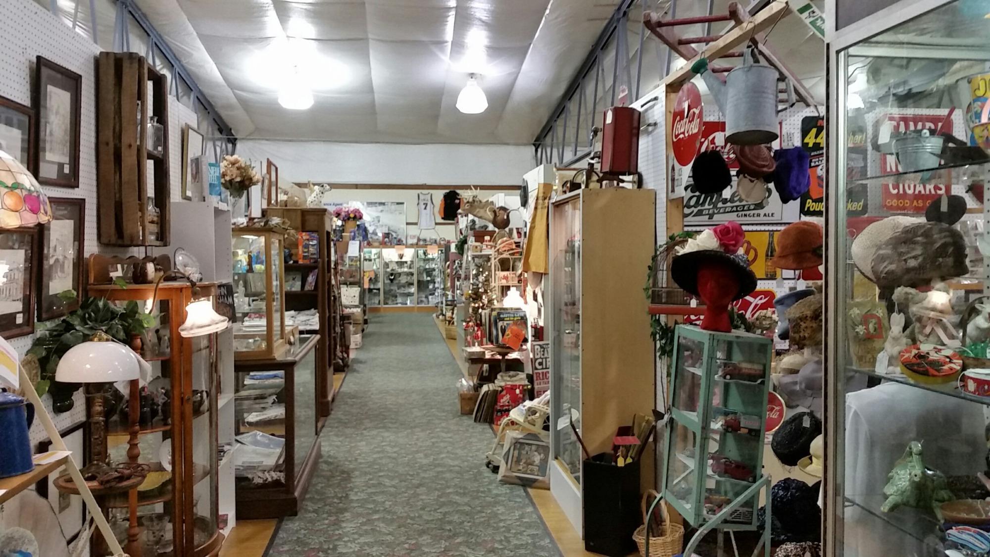 Photo by Zebra_45678