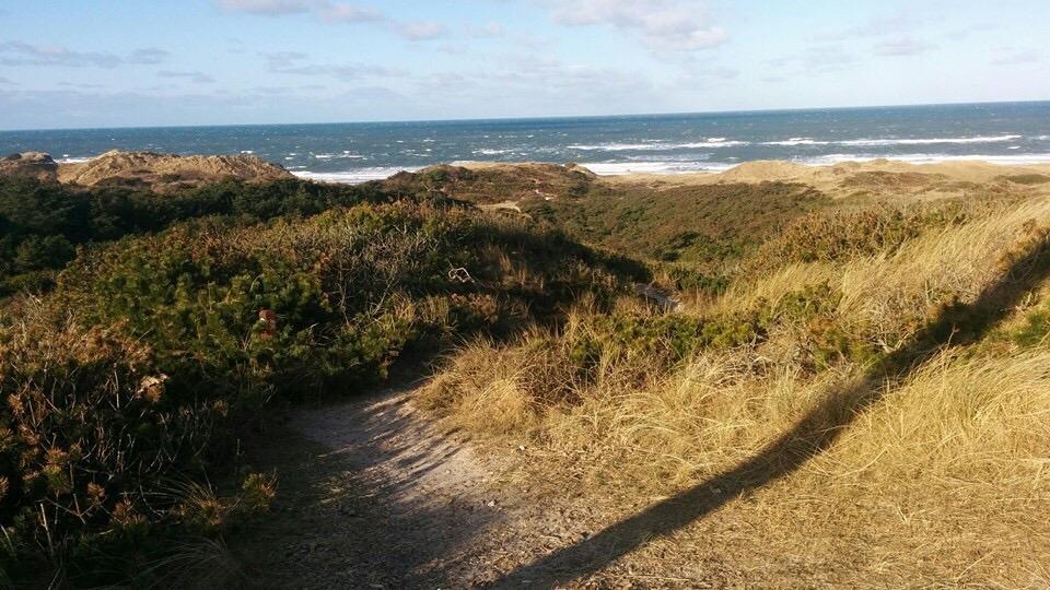 Photo by Svein-Erik B