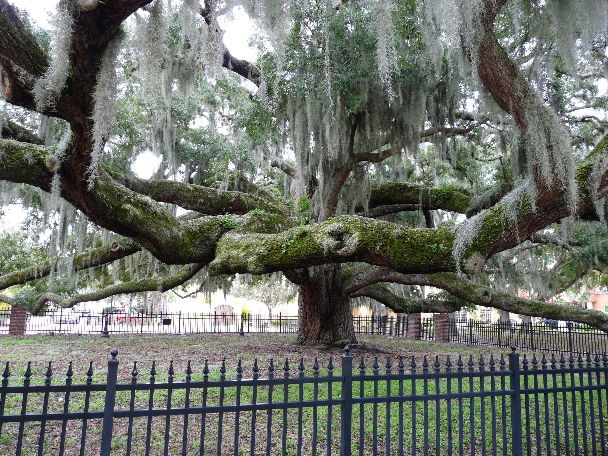 Baranoff Park