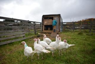 Apple Pond Farming Center