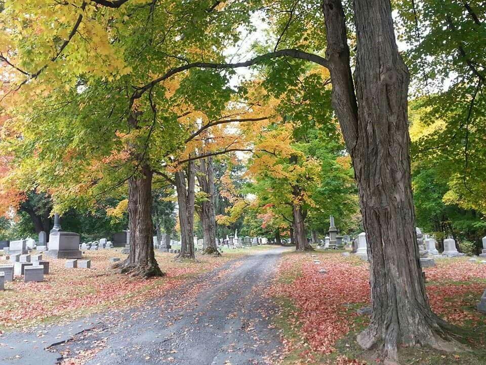 Albany Rural Cemetery