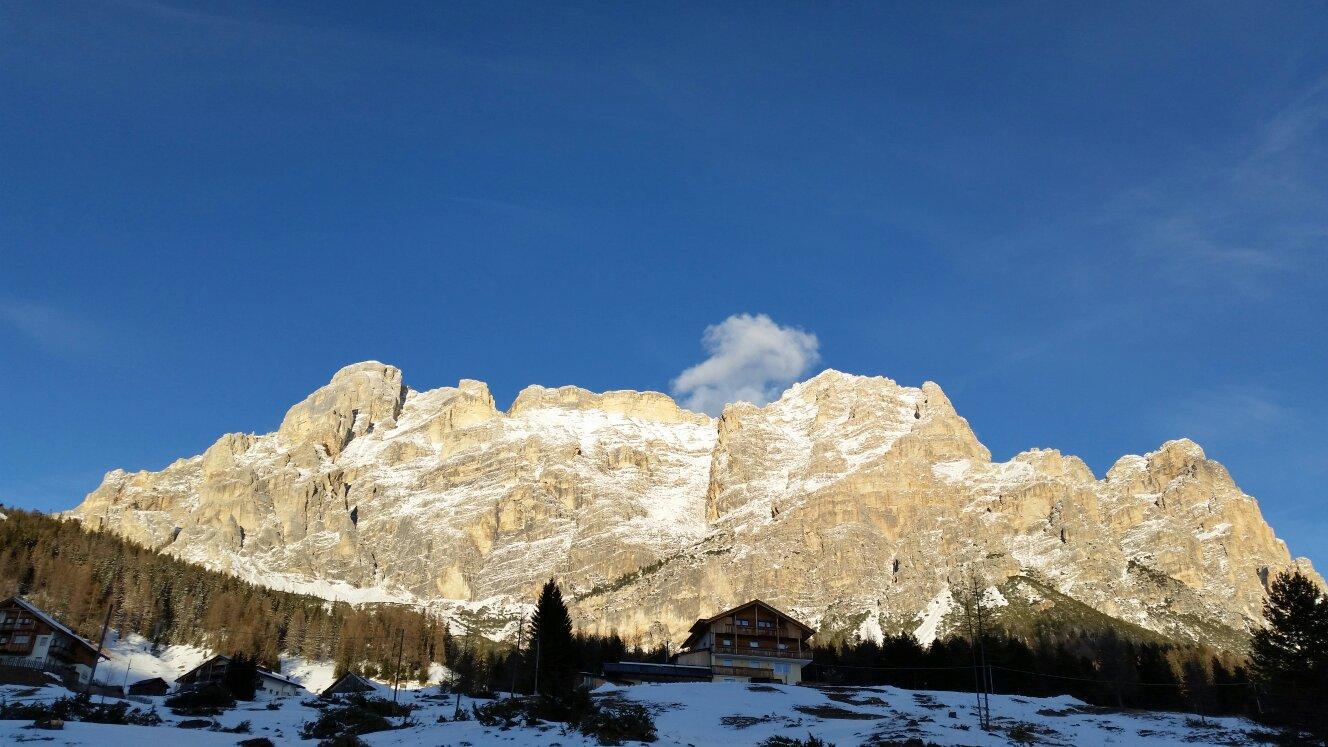 Photo by Francesca C