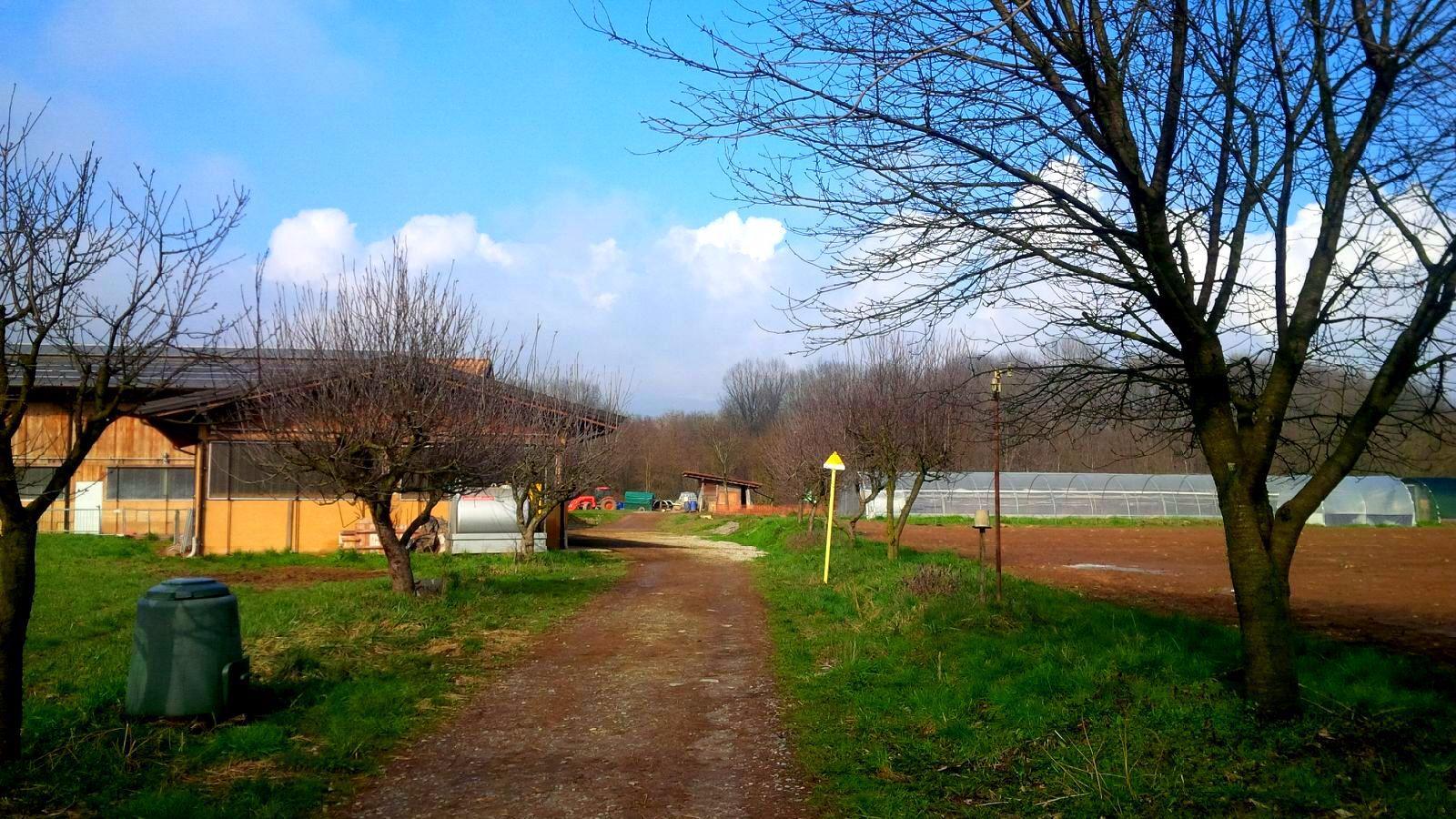 Photo by 196massimom