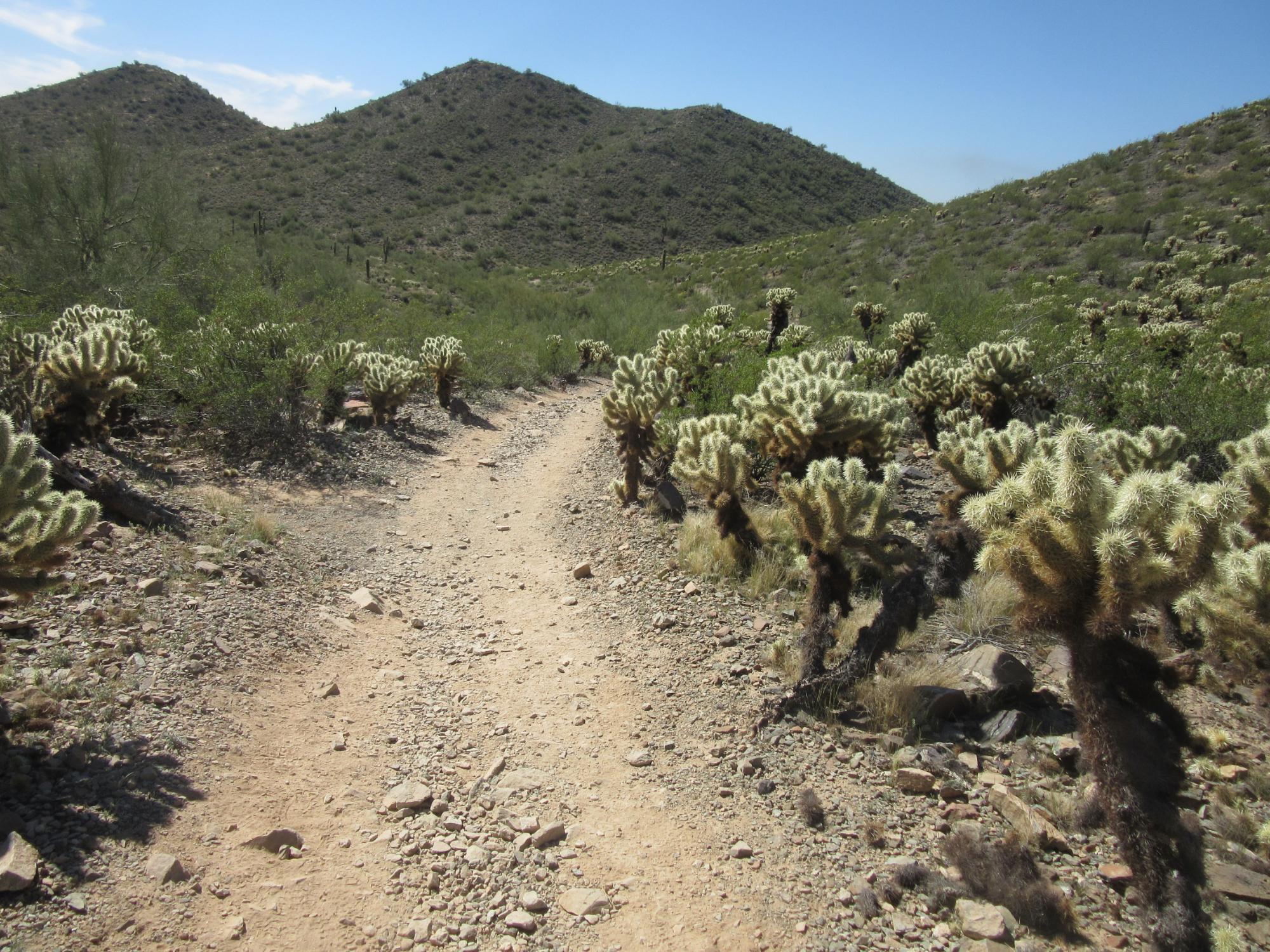 Desert Vista Trailhead