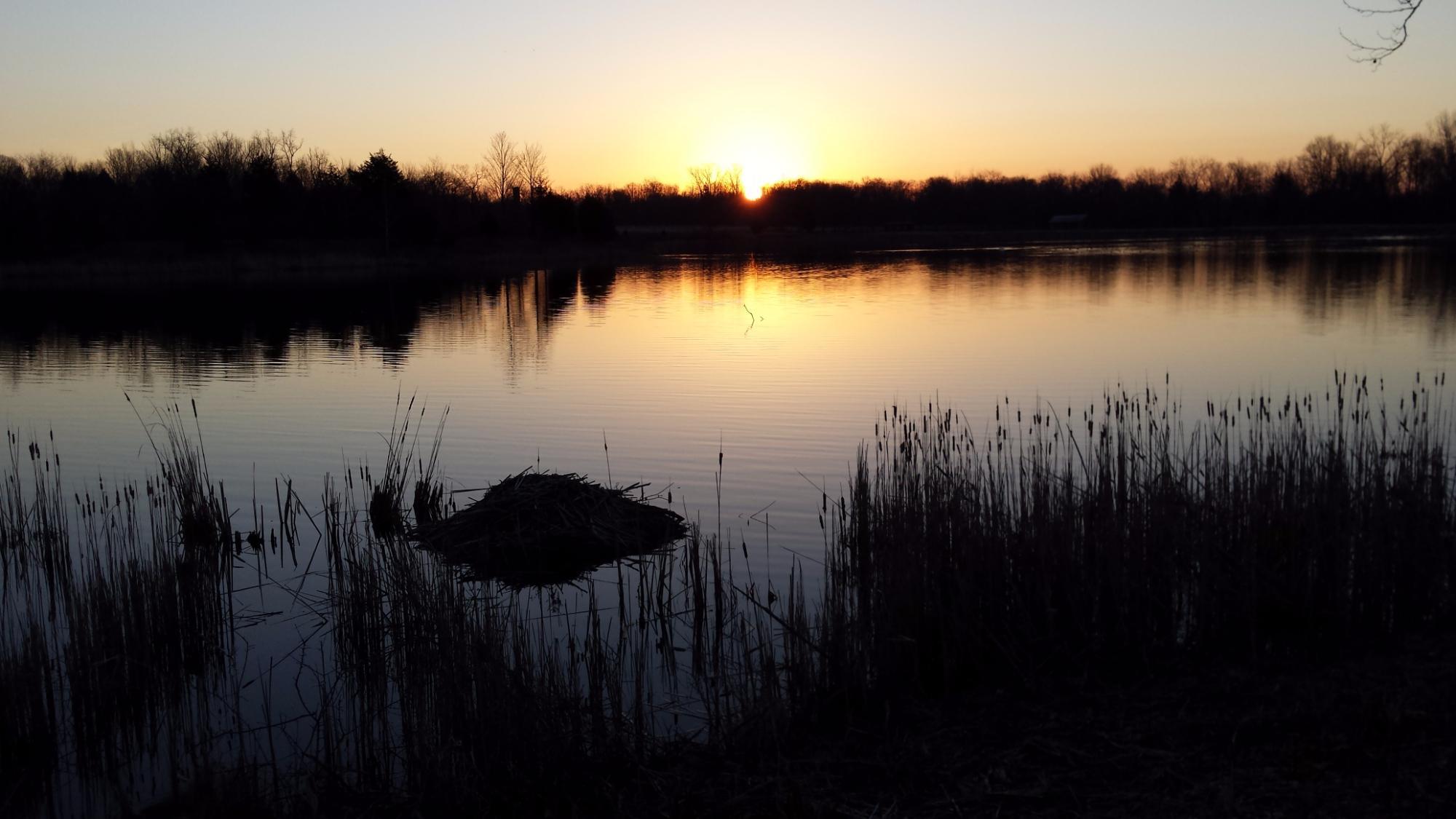 Photo by smellslikepinetrees