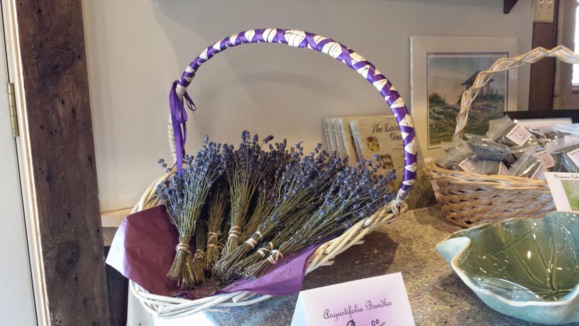 Willowfield Lavender Farm