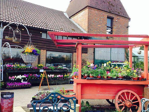 Perry Court Farm Afternoon Tea