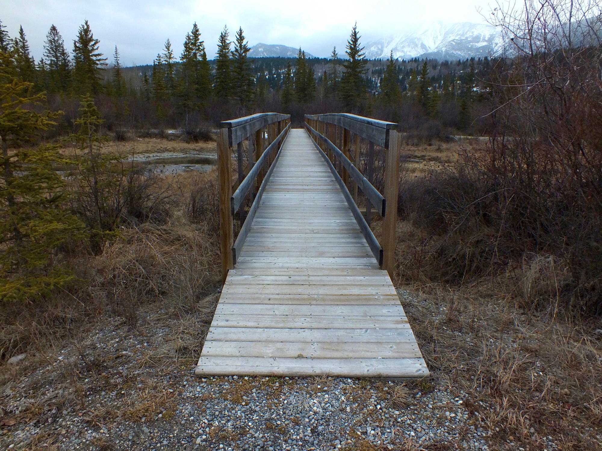 Source of the Columbia Trail